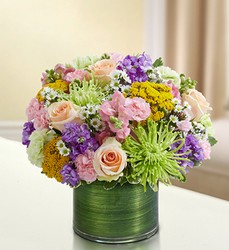 Cherished Memories<br>Multicolor Pastel Davis Floral Clayton Indiana from Davis Floral